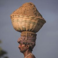 全球沙荒：20年貿(mào)易額增長(zhǎng)六倍 中國占亞洲一半，一場(chǎng)全球資源危機(jī)！正在愈演愈烈！