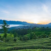 500萬噸/年！湖北儲(chǔ)量約1.12億噸建筑用花崗巖礦擬掛牌出讓